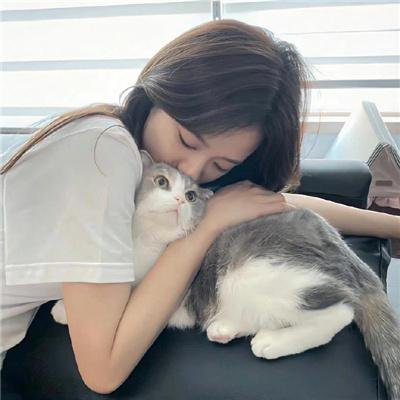 梦断情天
